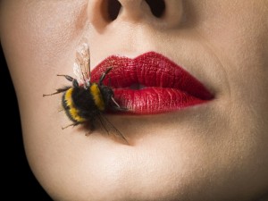 Veneno de abeja
